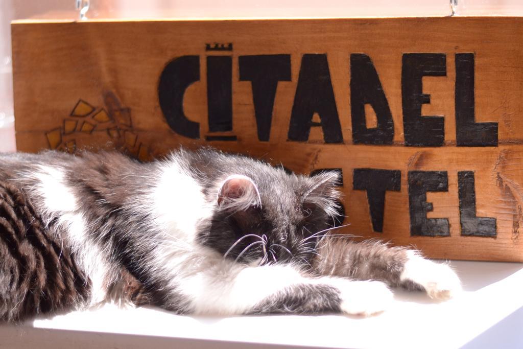 Citadel Hostel Алба Юлия Екстериор снимка
